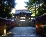 彌彦神社山門
